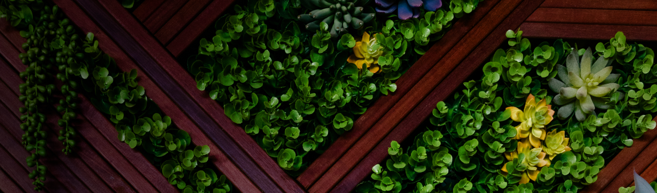 beautiful-natural-green-plant 1