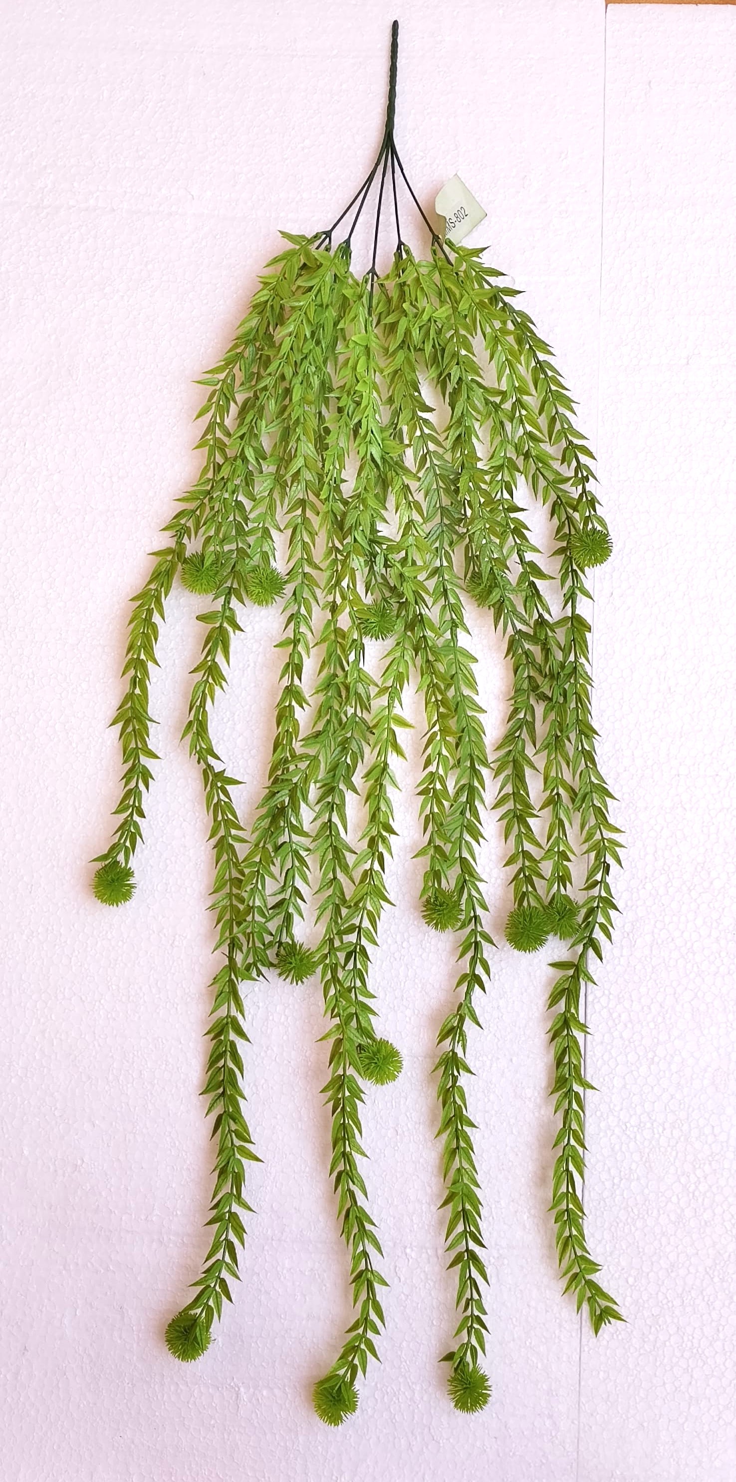 MC055 Asperous Creeper