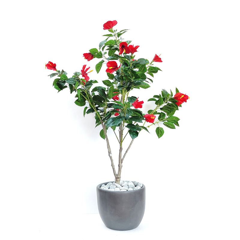MT108 Hibbiscus Tree