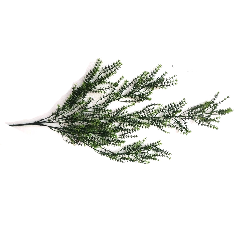 MC026 Kuruthu Creeper