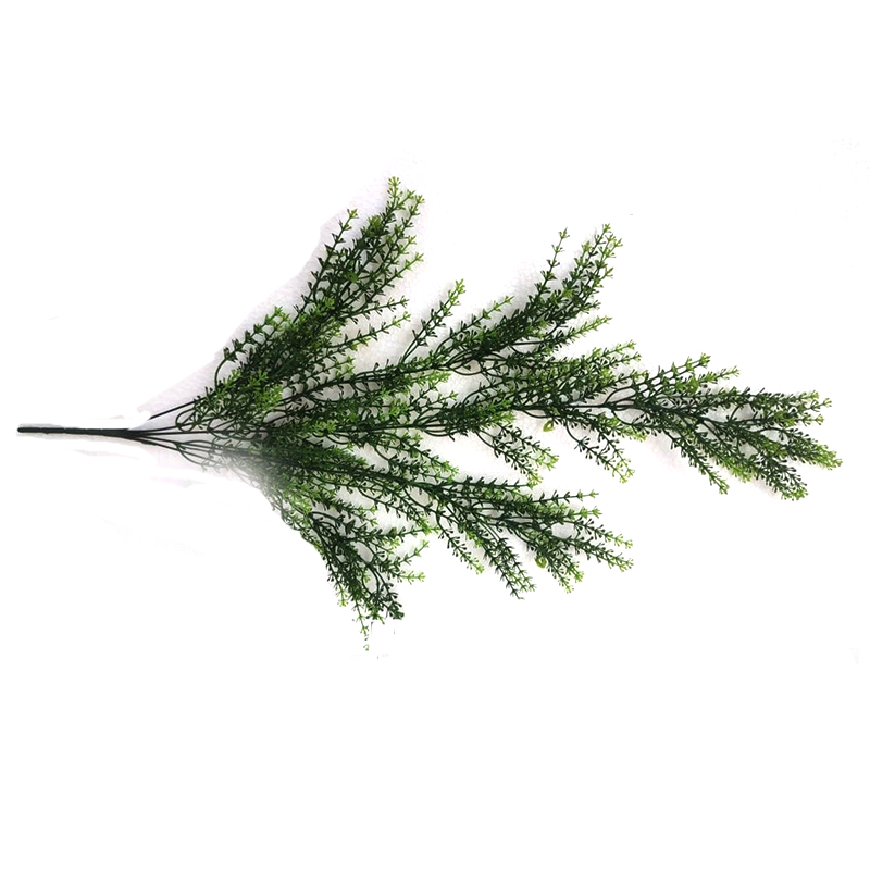 MC024 Kuruthu Creepers