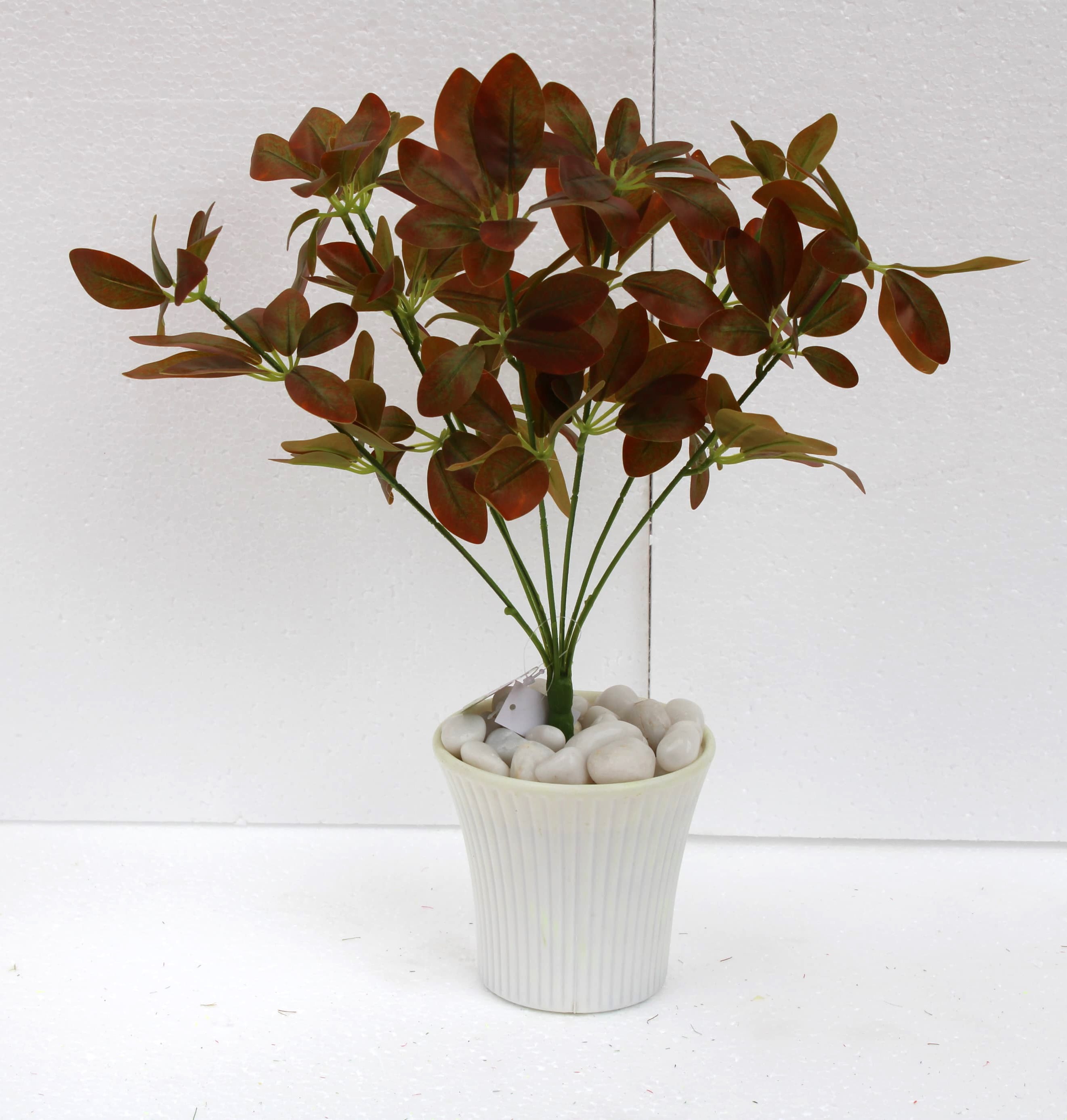 ML190 Schflerra Red Leaf Bush