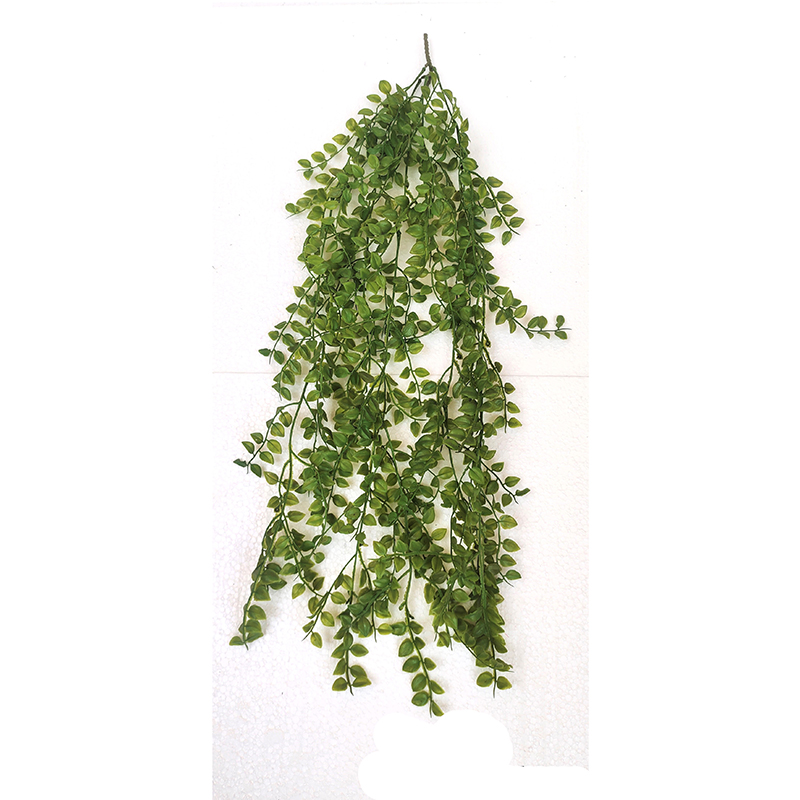 MC003 Curtain Flower Creepers