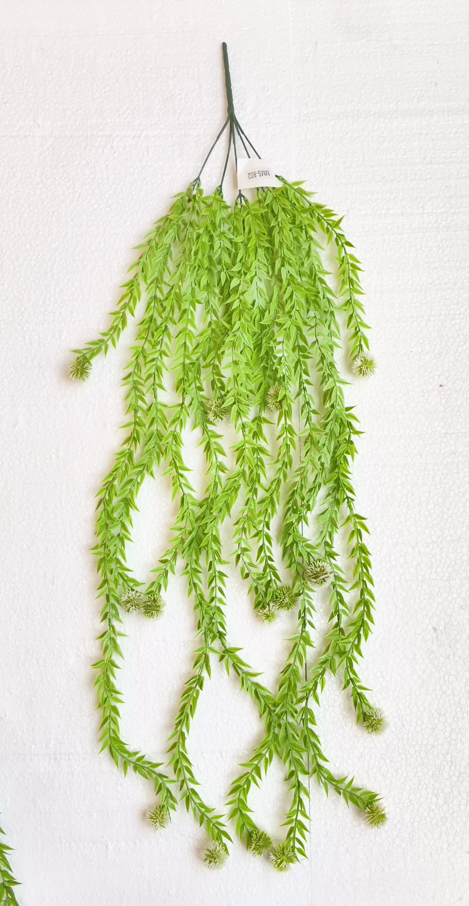 MC054 Asperous Creeper