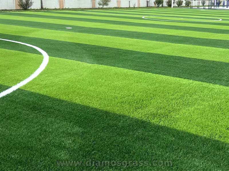 CCMax 50mm  Foot ball Turf