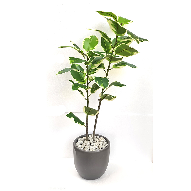 MT103 Croton Leaf Plant