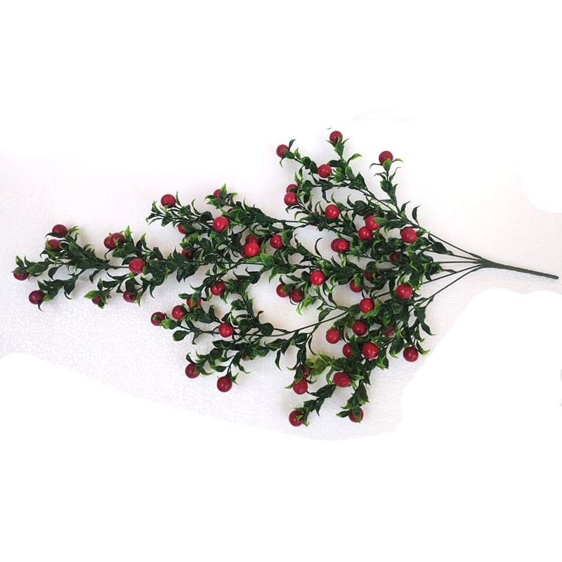 MC021 Cherry Kodi Creeper