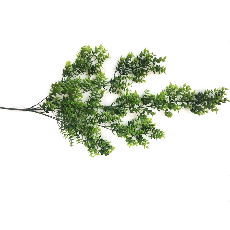 MC027 Labbages Creepers