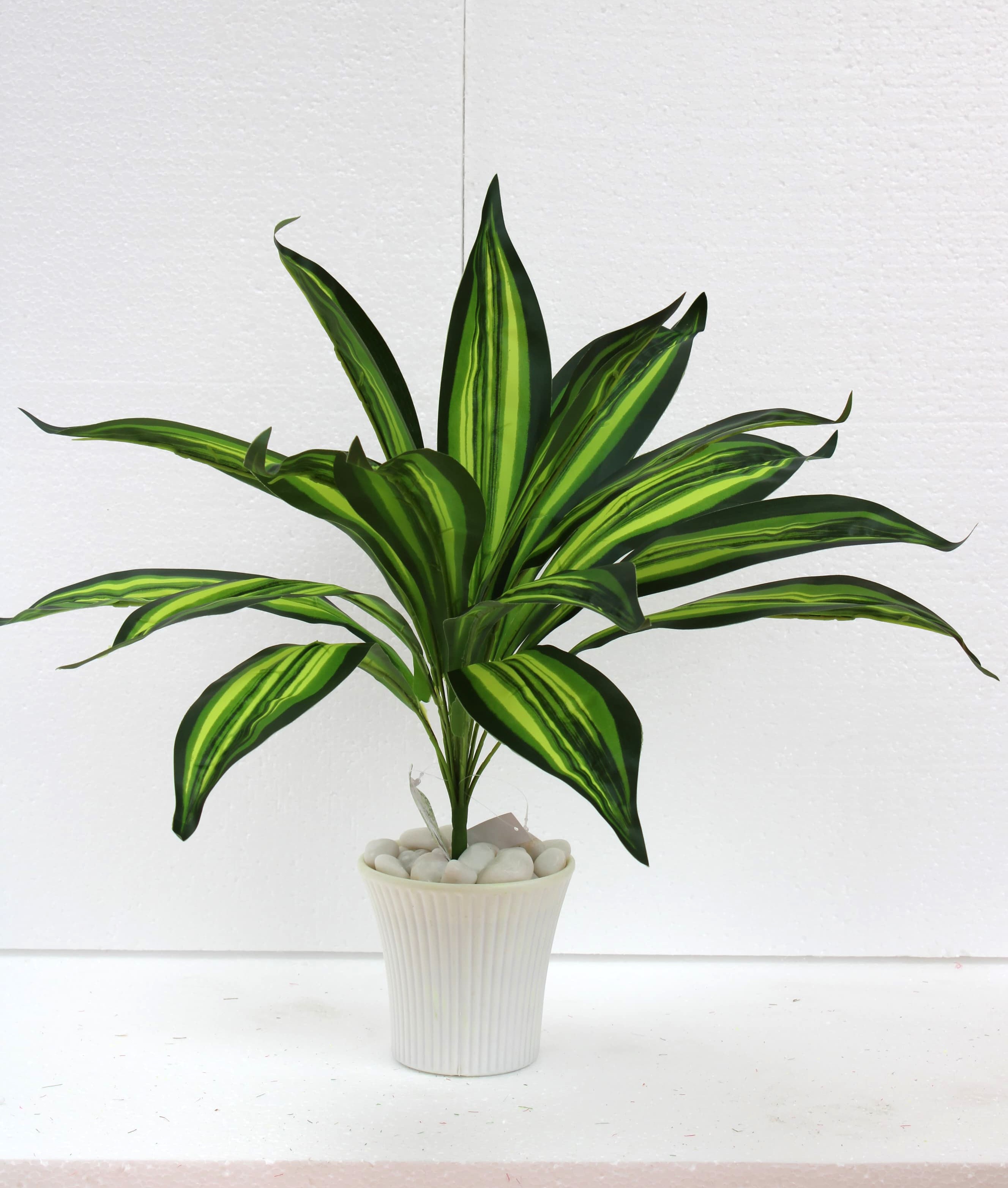 ML030 Dressina leaf Bunch