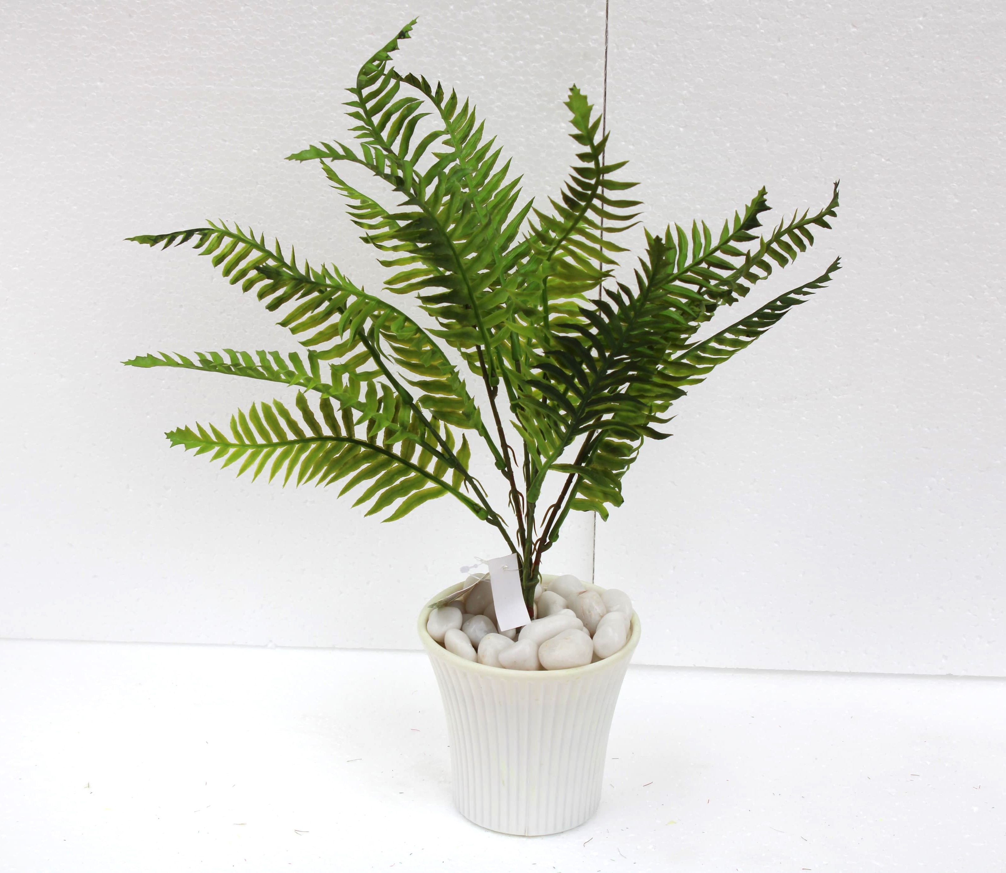ML193 Boston Fern Leaf Bush