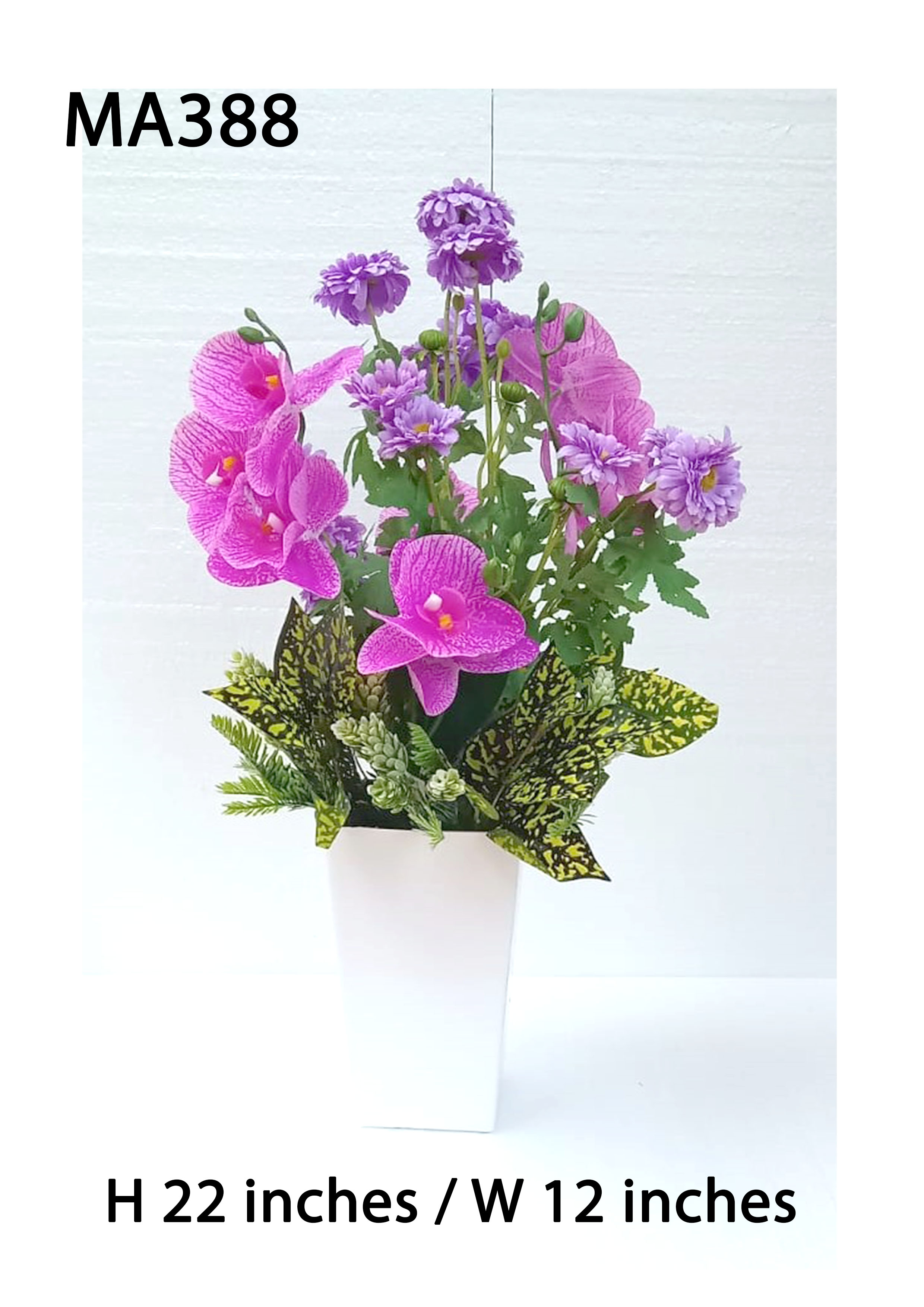 MA388 Orchid /Sun Pot Arrangement