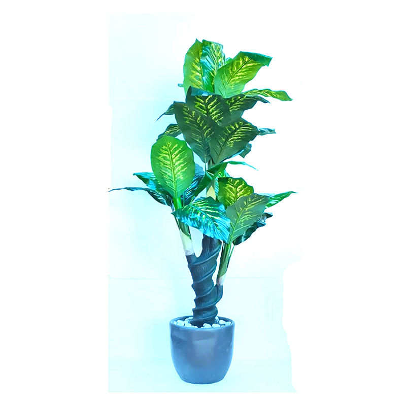 MT104 Diffen Bacia Plant