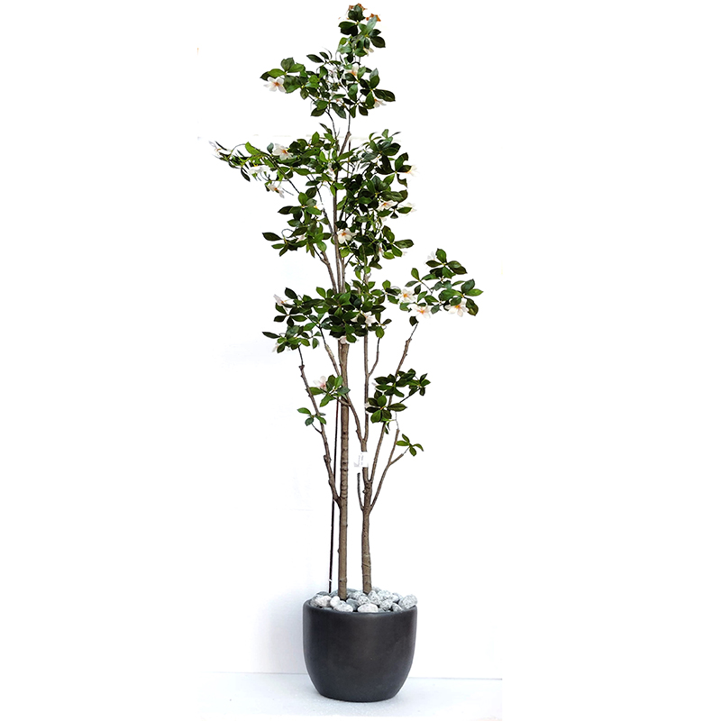 MT106 White Jasmin Tree
