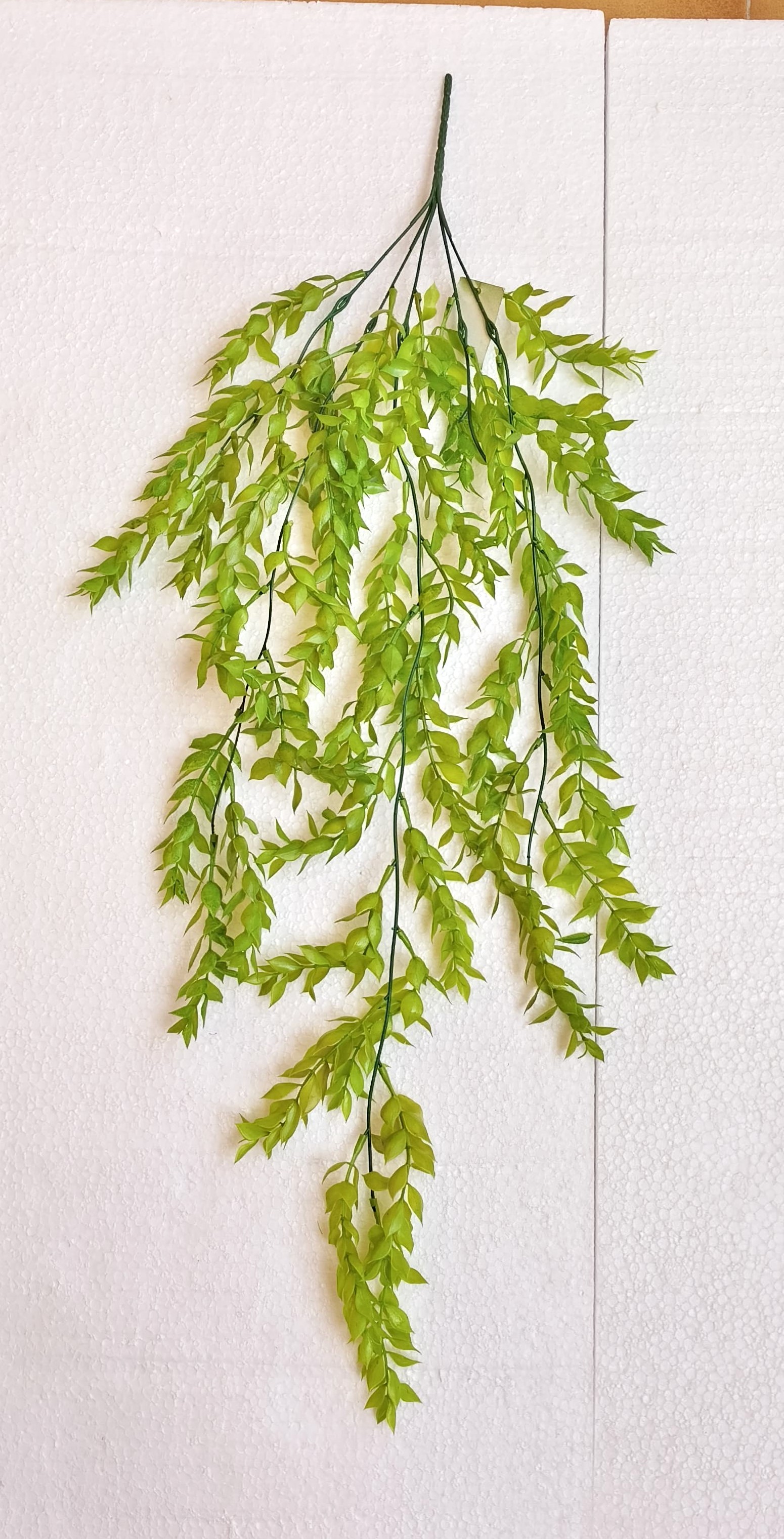 MC058 Curtain Creeper