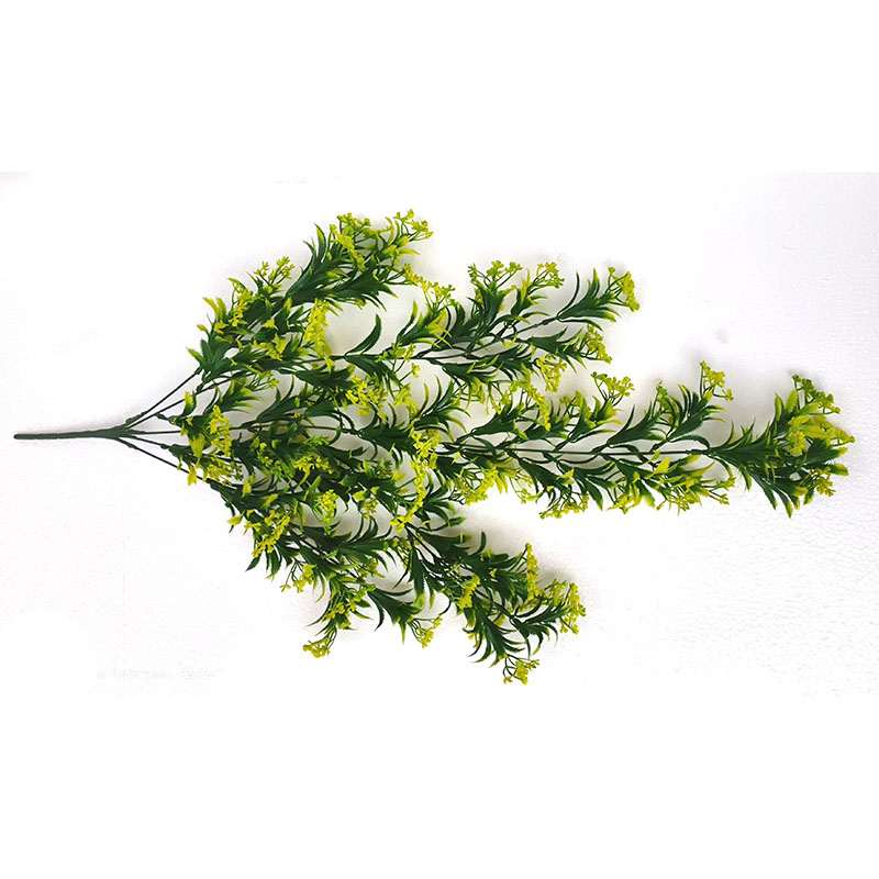 MC072 Baby Birth Leaf Creeper