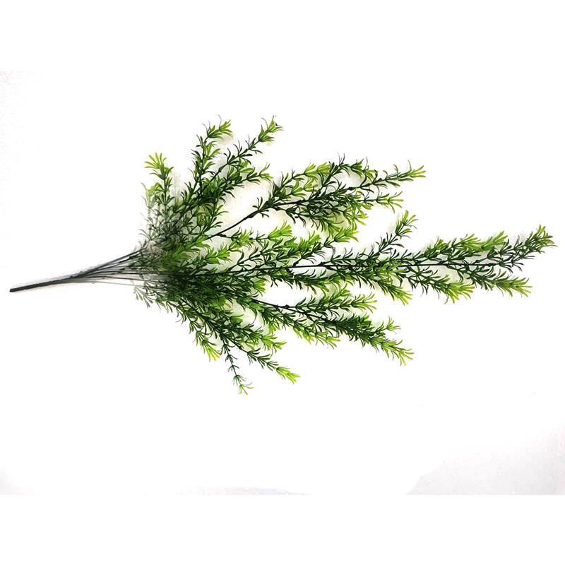 MC023 Asperous Creeper