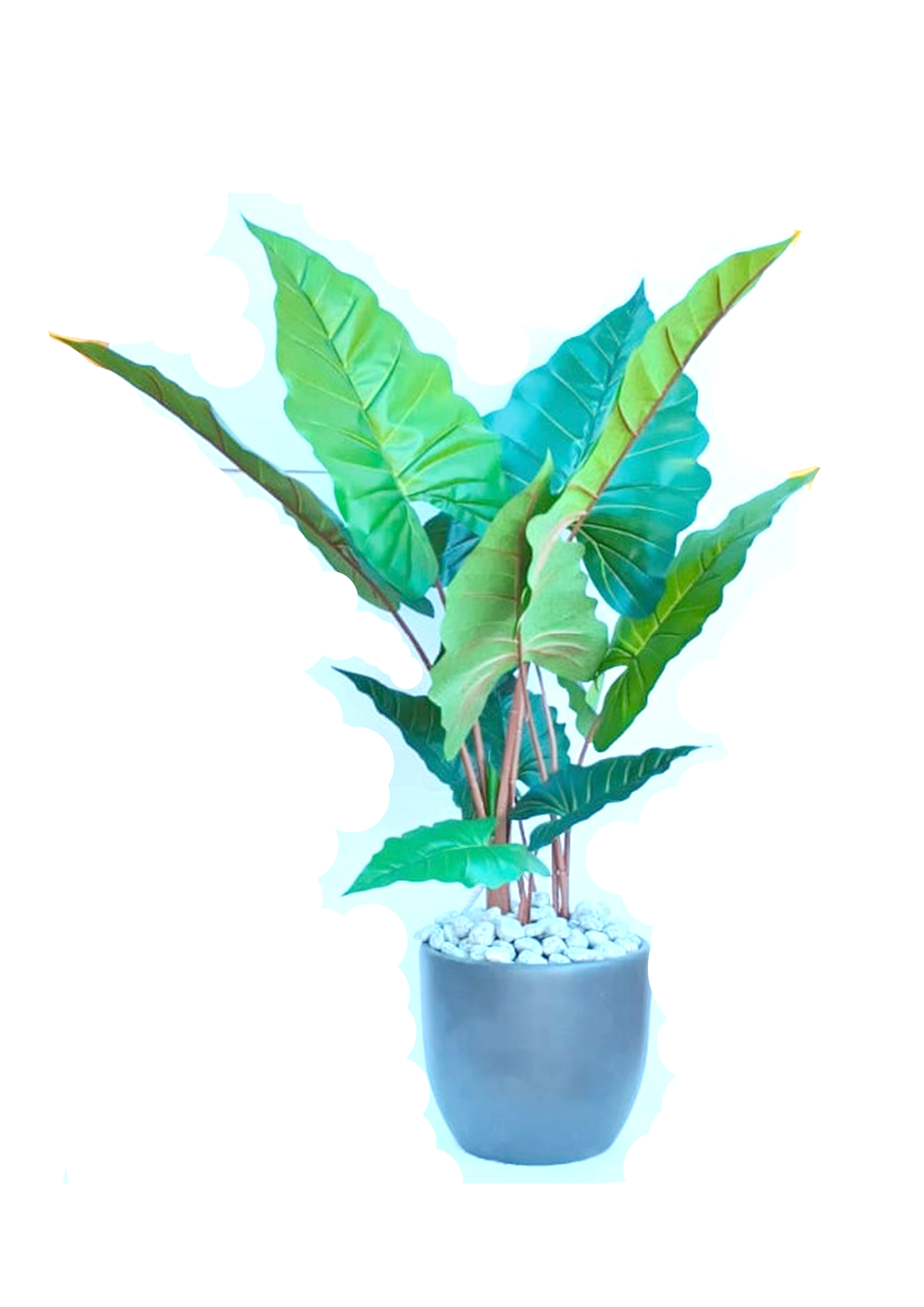 MT102 Elephant Leaves Plant