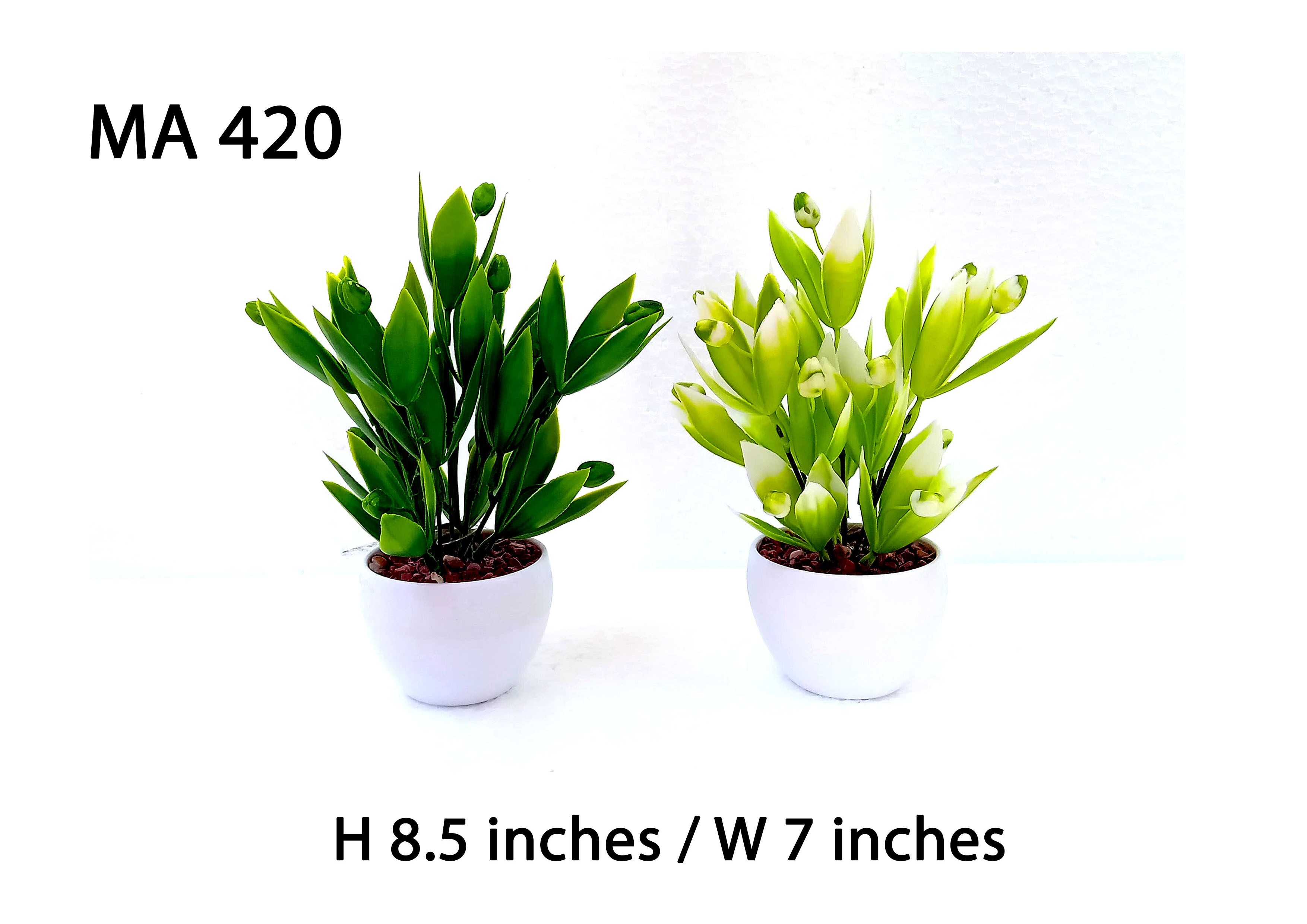 MA420 Jasmin Bud Pot Arrangement