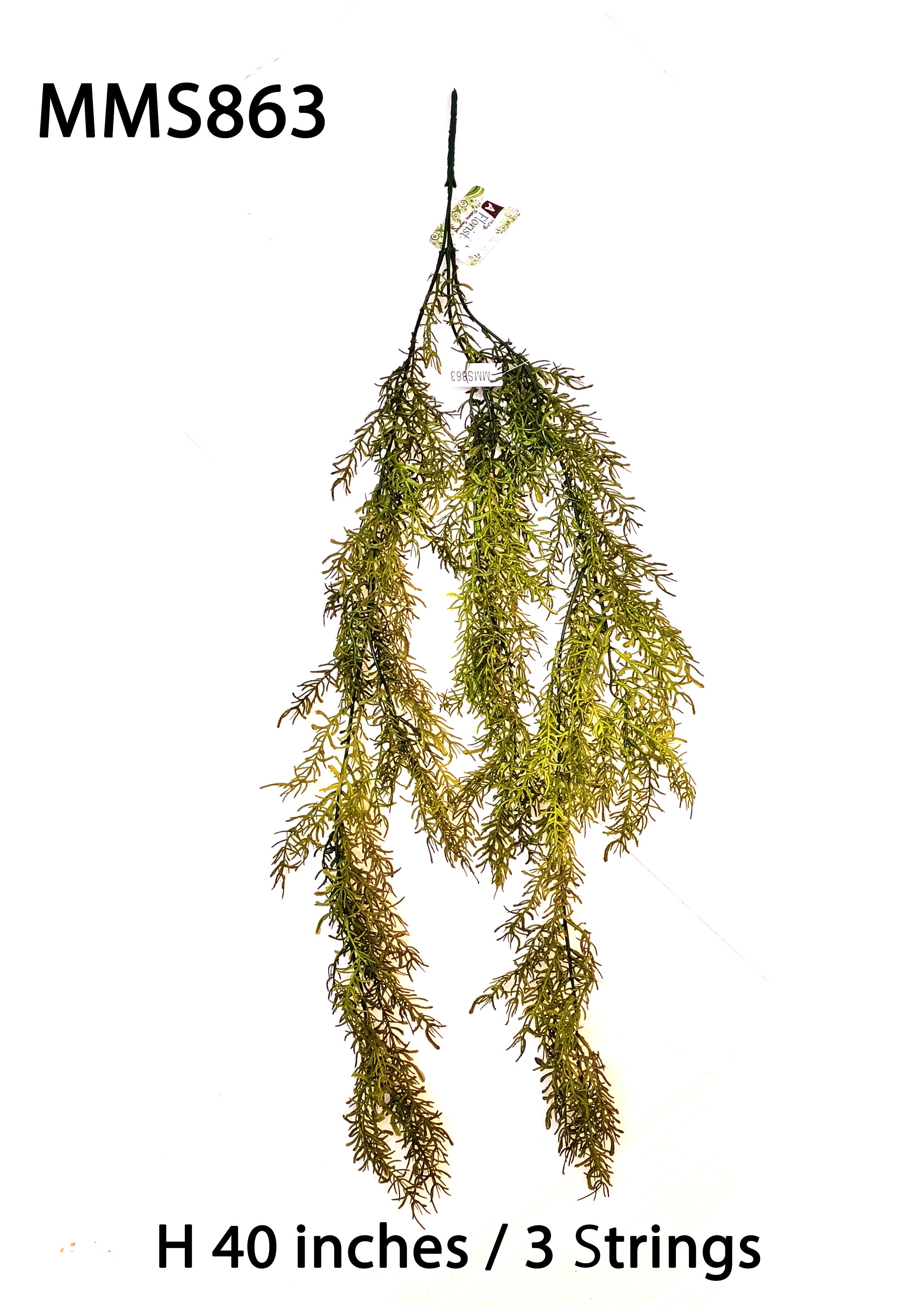 MC068 Asperous Creeper