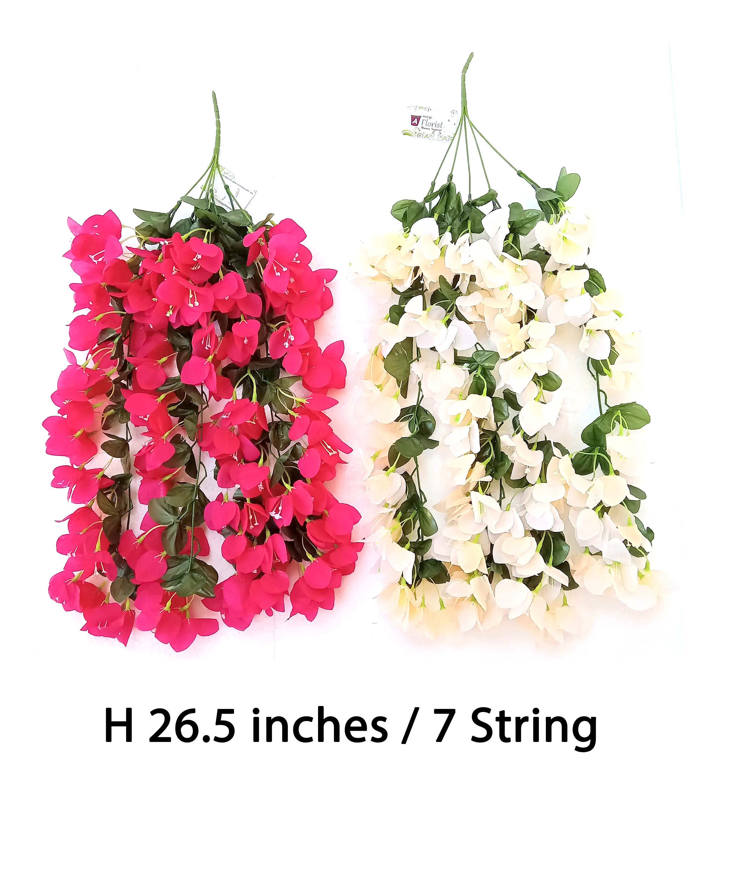 MF011 Bogan Villa Creeper