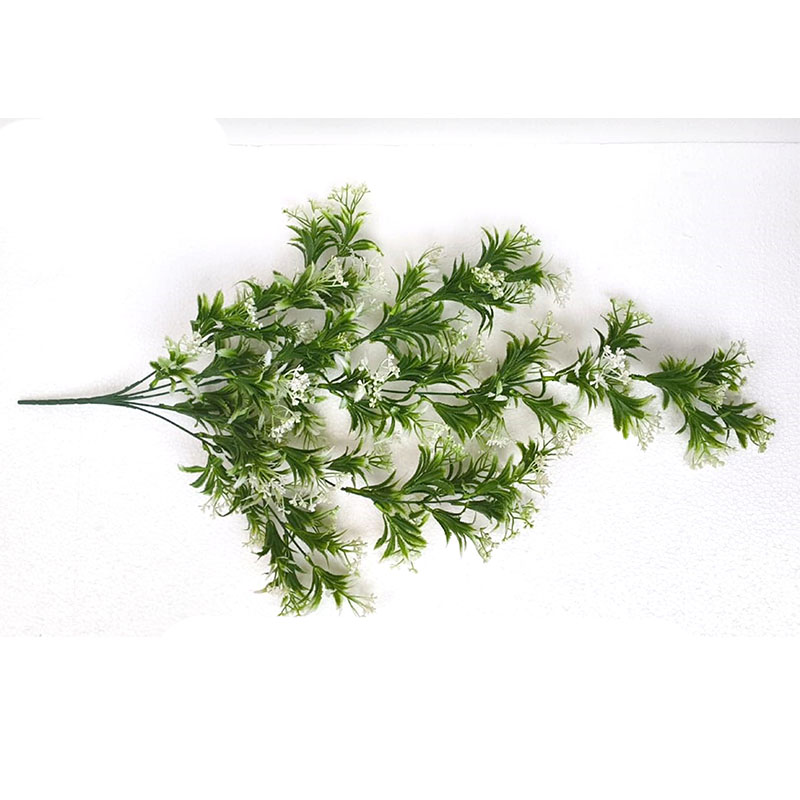 MC073 Baby Birth Leaf Creeper