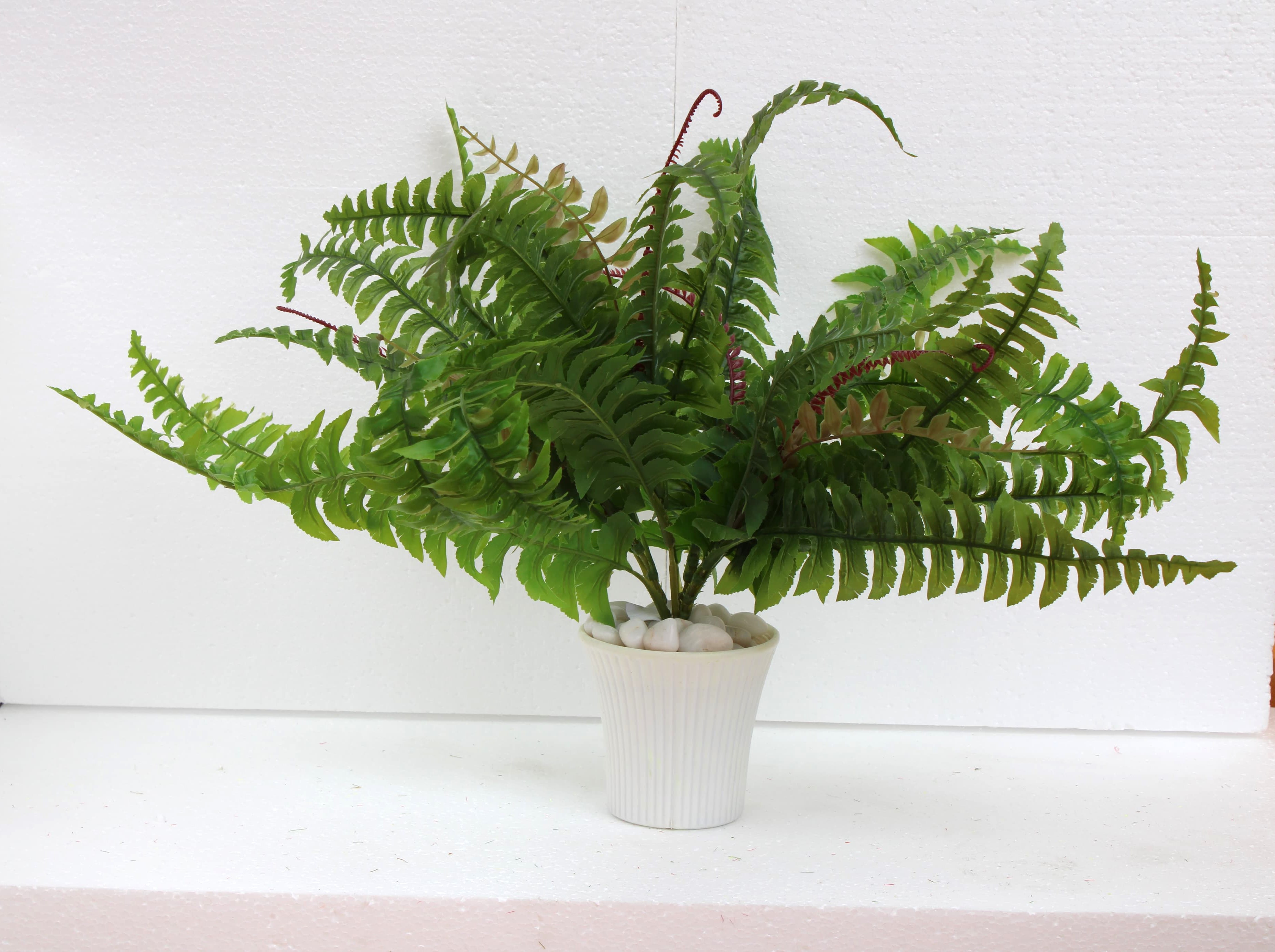 ML189 Fern Leaf Bush