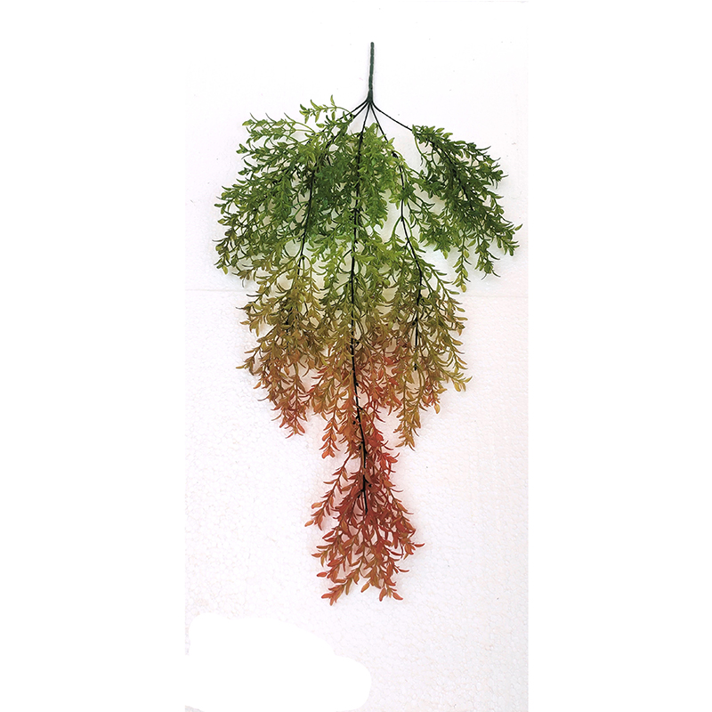 MC012 Asperous Creepers