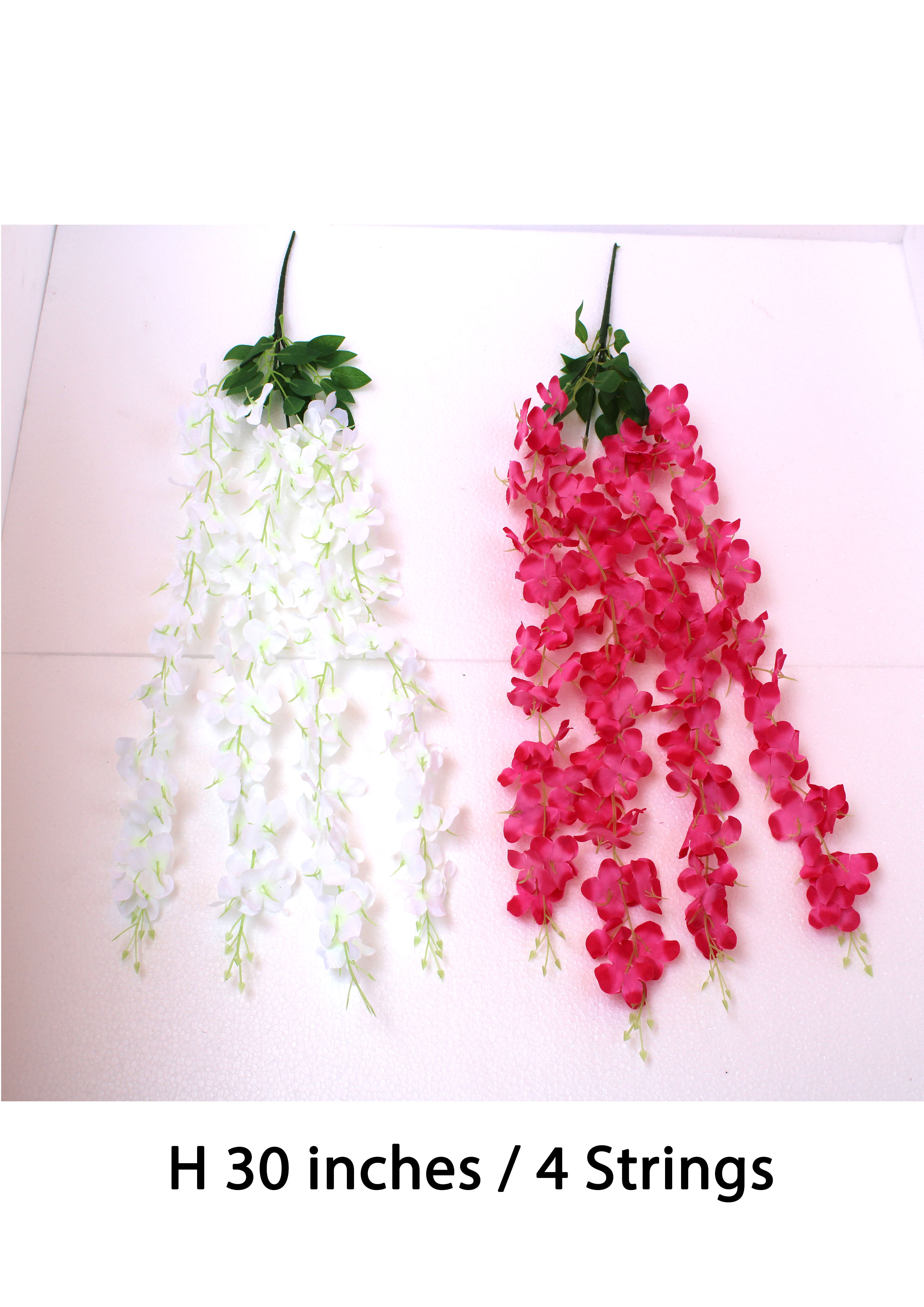 MF014 Wisteria Creeper