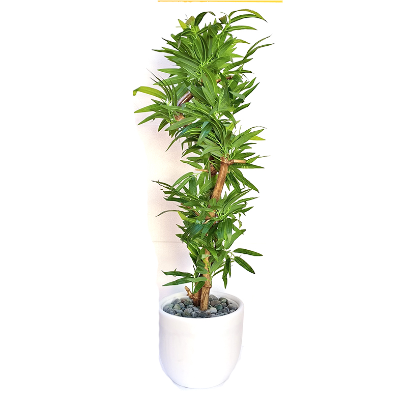 MT084 G Artistic plant