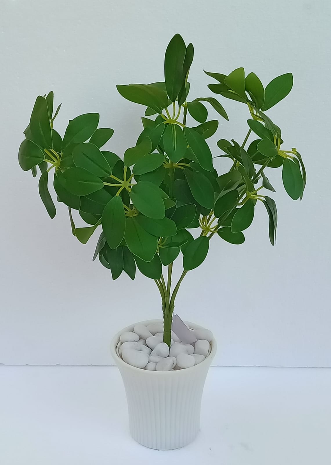 ML191 Schflerra Green Leaf Bunch