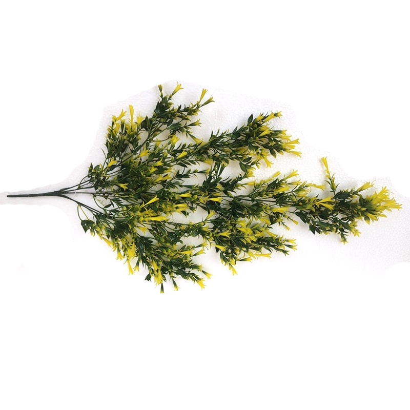 MC022 Sambangi Kuruthu Creeper