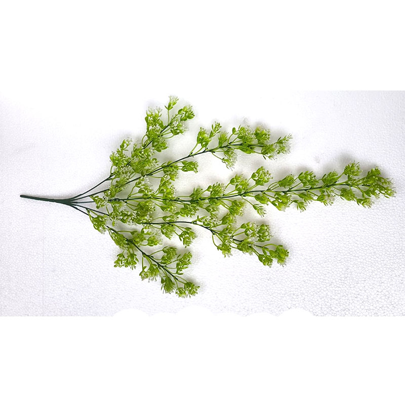 MC071 Baby Birth Creeper