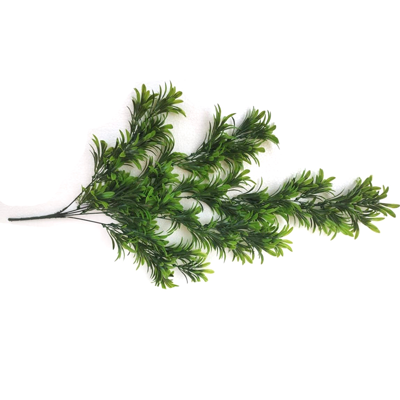 MC025 Kuruthu Creeper