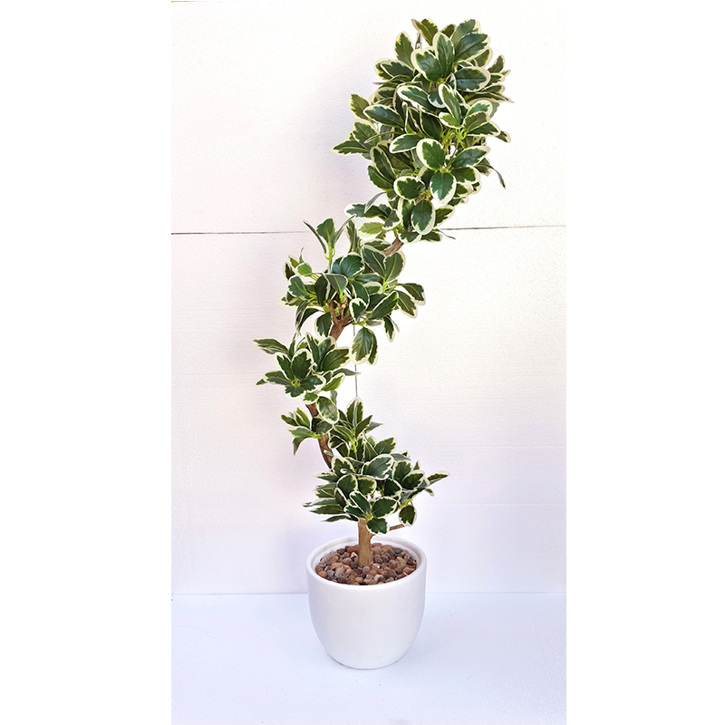 MT084 E Artistic plant