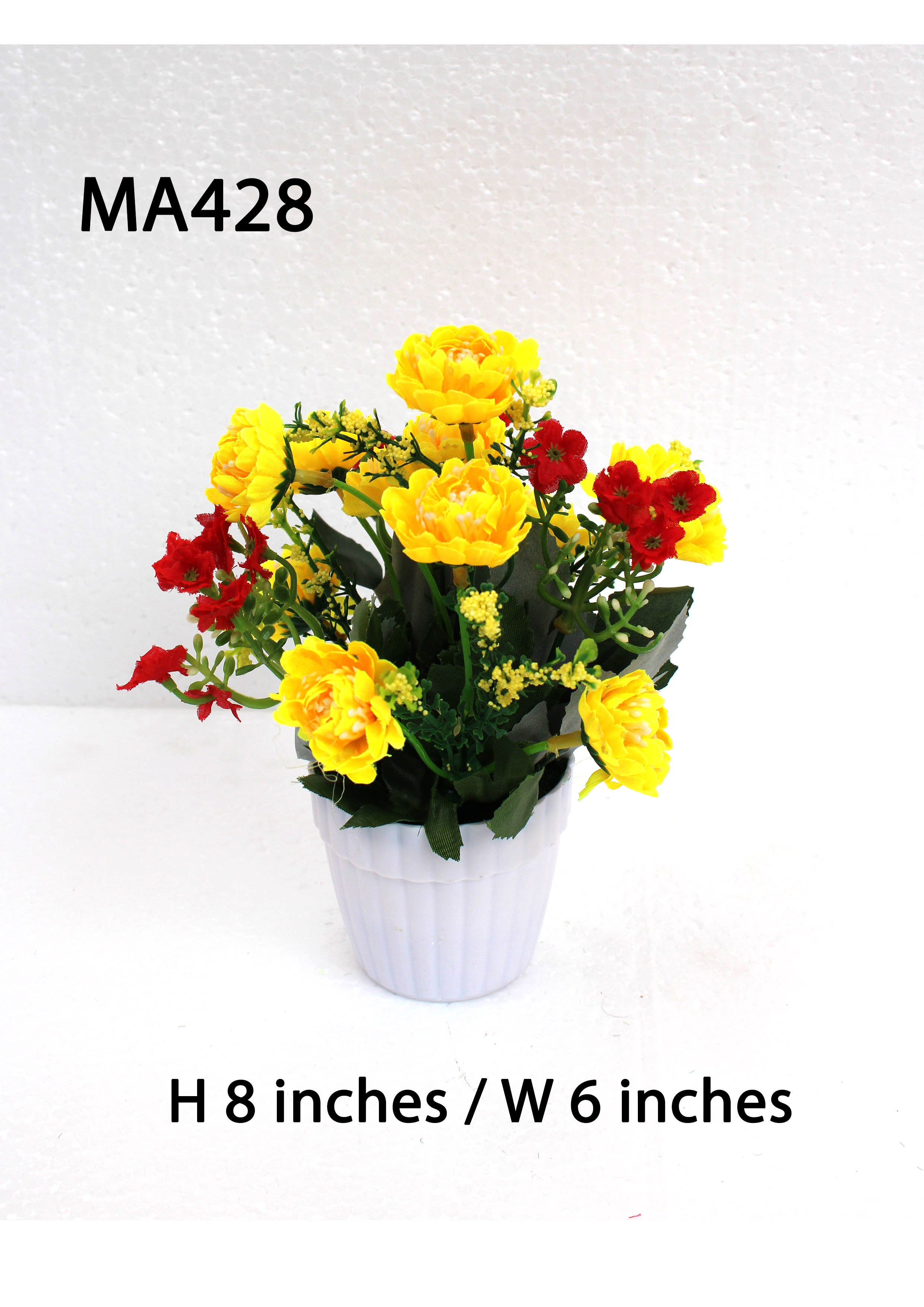 MA428 Daisy Pot Arrangement